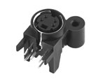 DSW-31